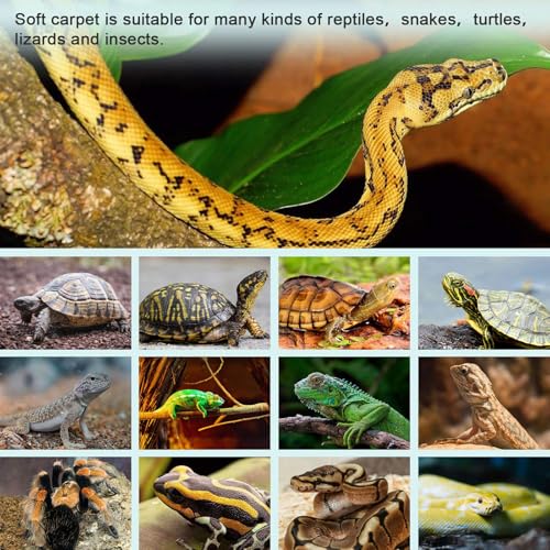 of 4 Natural Coconuts Fiber Reptiles Carpet for Tortoises and Lizards Terrariums Bedding Mat Substrate Liner Tortoises Bedding - size: S