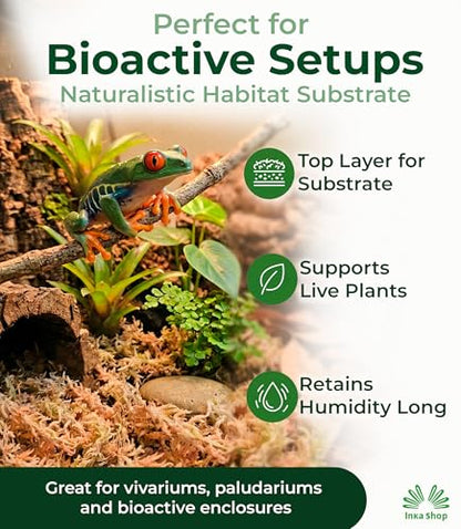 Inkashop Long Fiber Sphagnum Moss for Reptiles Terrarium Bedding Hide 3.5oz | snake bedding, reptile substrate and humidity control, leaf litter for tarantula isopod jumping spider, peruvian dried moss