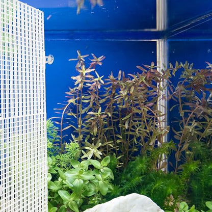 ABOOFAN Fish Tank Divider Panel with Suction Cups, Aquarium Isolation Board 30x30cm White, Anti-Jumping Separator for Betta and Reptile Tanks