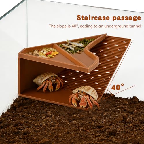 Hermit Crab Cave Habitat,2-in-1 Cave Shelter & Feeding Dish with 180° Observation Climbing Tunnel,Slip-Resistant Staircase Hermit Crab Accessories for Habitat & Tank Setup Decor