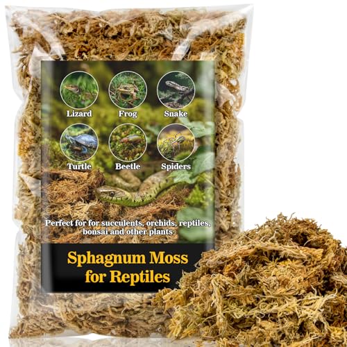 RAINFLOW Sphagnum Moss for Reptiles - 5.6 OZ Reptile Peat Moss for Terrarium Bedding Reptiles Snake Substrate for Reptile Tank, Snake, Leopard Gecko, Ball Python, Crested Gecko, Turtle, Frog, Hamster