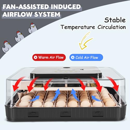 Sailnovo 56 Egg Incubator for Hatching Eggs with Automatic Egg Turning Gray | Auto Humidification, Stable Temperature Control, Built-in Candler, View Window, Alert System for Lab School Farm - color: Gray