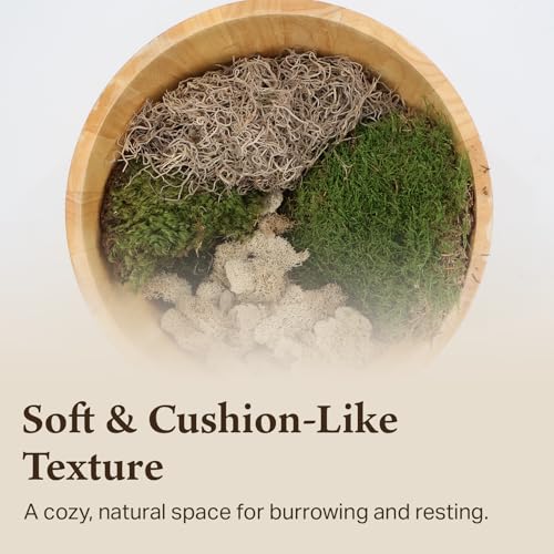 Variety Mix Moss for Terrarium Habitats, Small 1-Pack | Preserved Moss for Reptiles, Amphibians & Invertebrates Terrariums, Humidity Control, Soft, Dye-Free, Family Owned, USA Made - size: Small 1-pack, style: Variety Mix