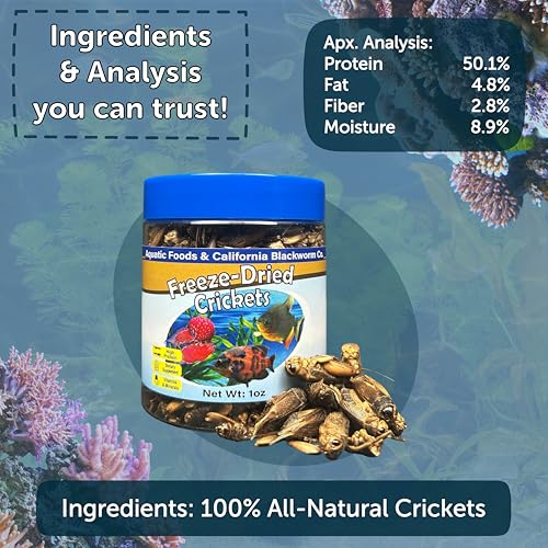 Crickets, Freeze Dried Crickets for Large Tropical Fish, Monster Fish, Reptiles, Turtles, Tortoises, Frogs, Hamsters, Birds, Rodents 1.0oz Canister - size: 1 Ounce (Pack of 1)