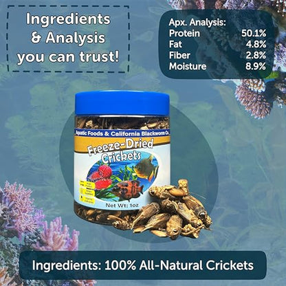 Crickets, Freeze Dried Crickets for Large Tropical Fish, Monster Fish, Reptiles, Turtles, Tortoises, Frogs, Hamsters, Birds, Rodents 6oz Canister - size: 6 Ounce (Pack of 1)