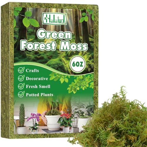 Halatool 6OZ Green Moss for Indroor Plants, 8QT Orchid Moss for Repotting | Retain Moisture, Forest Moss for Potted Plants, Real Moss for Succulents, Carnivorous, Houseplants, Terrariums, Reptiles - size: 6oz
