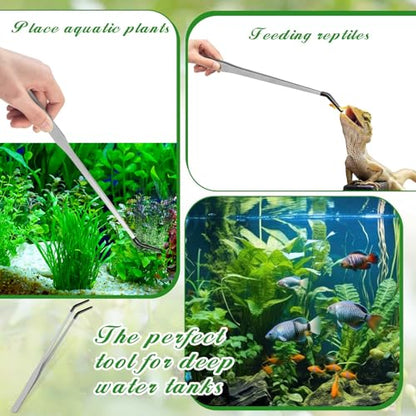 Jingmore 4 Pcs Bearded Dragon Food Bowl Set Reptile Snake Feeding Accessories Stainless Steel Reptile Feeding Tongs with Rubber Clamp for Bearded Dragon Lizard