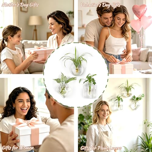 Mkono Wall Propagation Planters Hanging Glass Plant Vase Holder, 3 Pack | Three Shapes Terrariums Station,for Indoor Hydroponic Plants Flowers,Easy to Install,Home Bathroom Decor, Plant Lover Gift