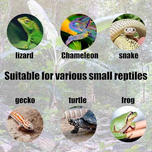 6pcs Reptile Bowls Set:Bearded Dragon Food Bowl,Gecko & Lizard Dish, Turtle Water Bowl&Cricket Keeper for Reptiles