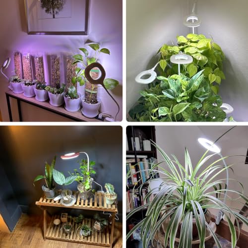 2 Packs Plant Growing Lamp, LED Pot Clip-on Plant Light for Growing | Full Spectrum Plant Light with Remote, 4/8/12H Timer, 10 Level Dimmable for Small Plants Succulents Seedlings - size: 2 Pack