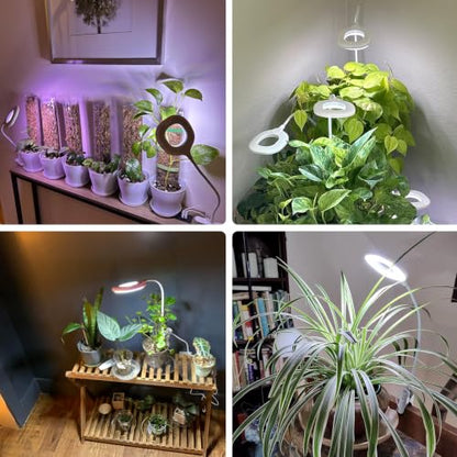 2 Packs Plant Growing Lamp, LED Pot Clip-on Plant Light for Growing | Full Spectrum Plant Light with Remote, 4/8/12H Timer, 10 Level Dimmable for Small Plants Succulents Seedlings - size: 2 Pack