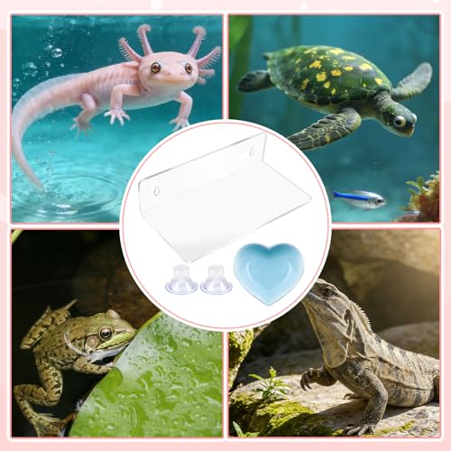 Axolotl Hammock Ledge with Feeding Dish, Aquarium Hideout for Axolotl Tank | Axolotls Tank Accessories,Bearded Dragon Tank Accessories