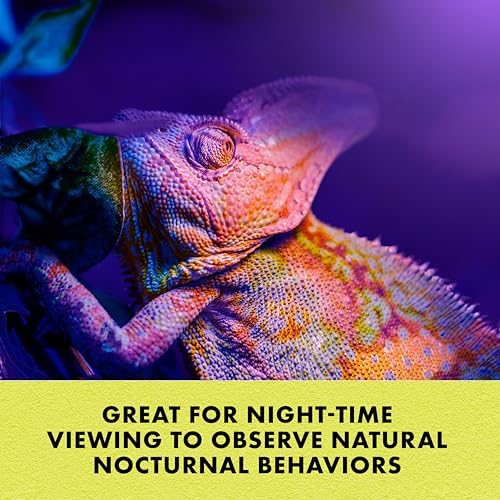 Zilla Incandescent Spot Bulb, for Nocturnal Reptile Species, Night Black - size: Pack of 1, style: Night Black (50W)