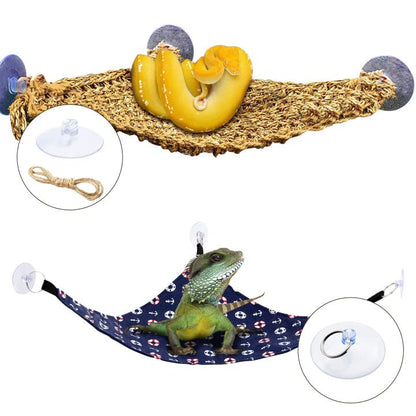 Knana 6pcs Reptile Terrarium Suction Cups for Bearded Dragon Hammock | Easy to use & clean|Powerful suction & Stability|Reptile Replacement Hammock Suction Cups
