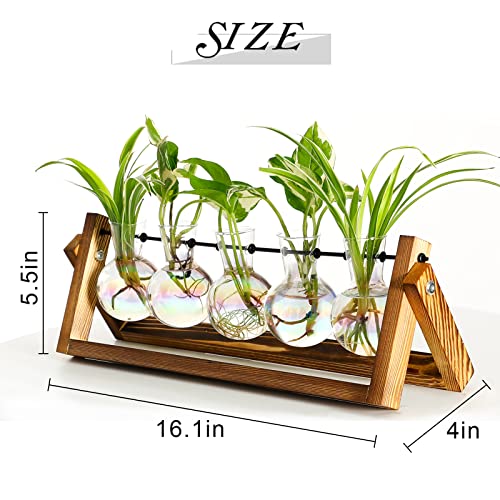 XXXFLOWER Plant Terrarium with Wooden Stand Desk Plant 5 Bulb Vase | Terrarium Kit Glass Propagation Vases Tabletop Propagation Station, Metal Swivel Holder Retro Rack - size: 5 Bulb Vase