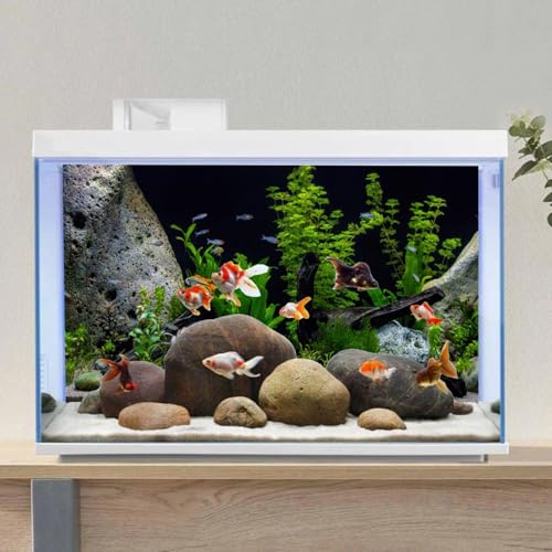 AWERT Vinyl Underwater Aquatic Plant Fish Tank Background Stone River Bed & Lake Aquarium Background 72x24 inches - size: 72x24in/180x60cm