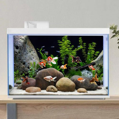 AWERT Vinyl Underwater Aquatic Plant Fish Tank Background Stone River Bed & Lake Aquarium Background 60x24 inches - size: 60x24in/150x60cm
