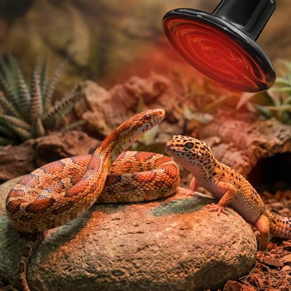 2 Pcs 100W Reptile Heat Lamp Ceramic Emitter, No Light Emitted 24Hr Heat Bulb for Reptiles & Amphibians, Safe Durable Ceramic Heating Lamp for Chicken Coop Dog Cat Pet Brooder, 110V Black - color: Black 110v 100w