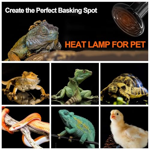 BNOSDM 2 Pack 150W Non-Light Emitting Ceramic Heat Emitter, Reptile Heat Lamp Bulbs, Brooder Coop Heater Lamp Bulb for Amphibian Reptiles Lizard Turtle Chicken - color: Pack of 2/Black, size: 150 Watts