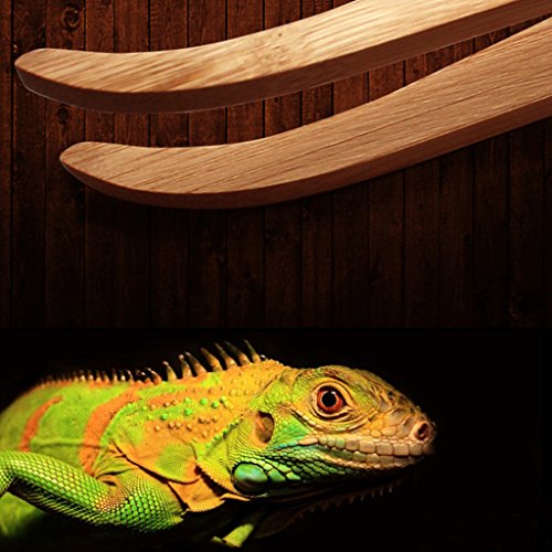 Youngy Angled Reptile Terrarium Feeding Tongs Tweezers Eco-Friendly Bamboo Feeding Tool