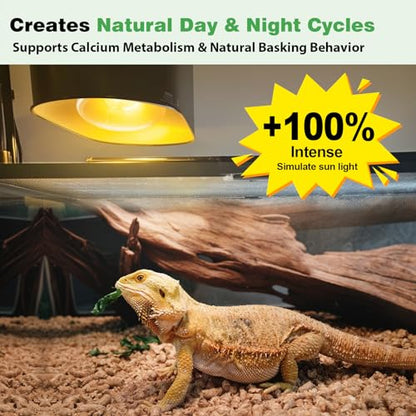 2 Pack 100W Reptile Heat Lamp Bulbs, Full Spectrum UVA/UVB Reptile Light Bulb and Basking Spot Light, UVB Light for Reptiles and Bearded Dragon, Turtle, Lizard, Snake, Amphibians - style: 2PCS 100W UVB Bulbs