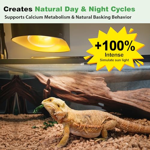 160W Reptile Heat Lamp Bulbs, Full Spectrum UVA/UVB Reptile Light Bulb and Basking Spot Light, UVB Light for Reptiles and Bearded Dragon, Turtle, Lizard, Snake, Amphibians - style: 160W UVB Bulb