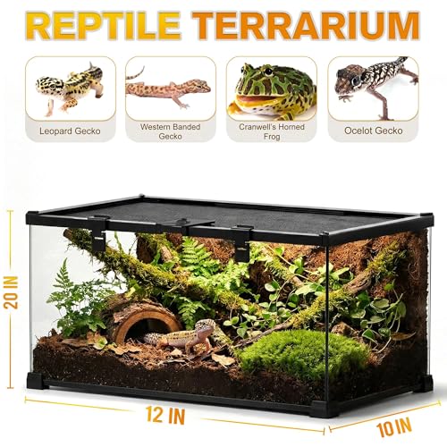 20"x12"x10" Reptile Terrarium, Escape-Proof Glass Terrestrial Vivarium for Small Desert Reptiles Such as Leopard Geckos, with Escape-Proof Lock & Feeding Hatch - size: 20"D x 12"W x 10"H