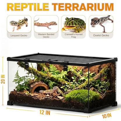 20"x12"x10" Reptile Terrarium, Escape-Proof Glass Terrestrial Vivarium for Small Desert Reptiles Such as Leopard Geckos, with Escape-Proof Lock & Feeding Hatch - size: 20"D x 12"W x 10"H