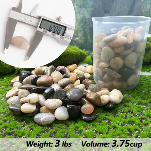 Pebbles for Plants 3 lb Natural Garden Decorative Stone Outdoor Aquariums Gravel 1-1.5 Inches - size: 3LB, style: Colour