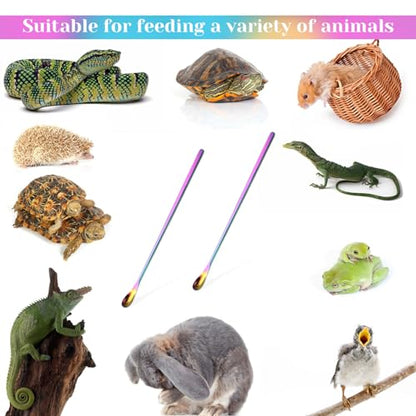 Abeillo 2Pcs Crested Gecko Food Spoons, 8.9" Long Handle Stainless Steel Reptile Spoon, Fruit Mixing Stirring Food Feeding Spoon for Gargoyle Bearded Dragon