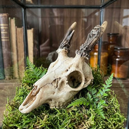 Mini Deer Skull Reptile Hide, Resin Tank Decor for Geckos, Snakes & Spiders | Realistic resin deer skull for terrarium décor; compact cave opening suits spiders, ants, Dubia roaches and other tiny pets.