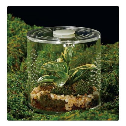 Acrylic Terrarium for Reptiles & Spiders – Small/Medium/Large Leak-Proof Enclosure (Horizontal/Vertical) | Ideal for Tarantulas, Jumping Spiders, Frogs & Geckos(Small, Round) - size: Small
