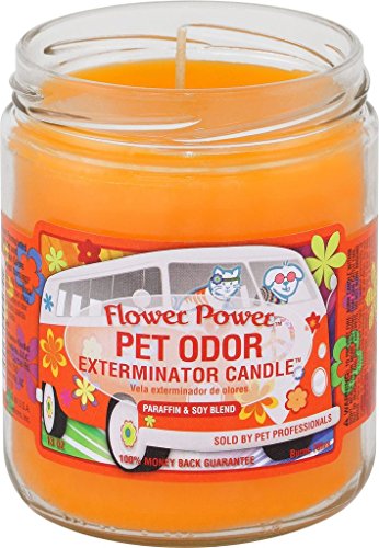 Flower Power„ Pet Oder Exterminator Candle 13 oz - color: Orange