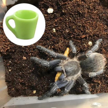 6 Pcs Tarantula Micro Water Bowl Spider Resin Feeding Bowl for Spider Tarantula Millipede Tiny Bugs Small Insects (Blue and Green)