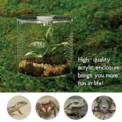 Acrylic Terrarium for Reptiles & Spiders – Small/Medium/Large Leak-Proof Enclosure (Horizontal/Vertical) | Ideal for Tarantulas, Jumping Spiders, Frogs & Geckos(Small, Round) - size: Small