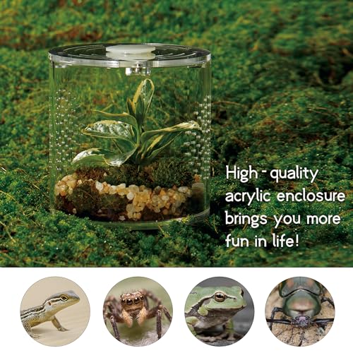 Acrylic Terrarium for Reptiles & Spiders – Small/Medium/Large Leak-Proof Enclosure (Horizontal/Vertical) | Ideal for Tarantulas, Jumping Spiders, Frogs & Geckos(Small, Round) - size: Small