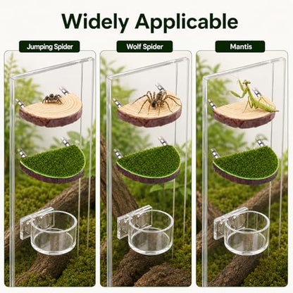 2 in 1 Jumping Spider Enclosure Accessories - Magnetic Feeding Dish with Jumping Wood Ledges | Acrylic Water Bowl Food Dish Habitat Decor for Tarantula Small Spider Reptile