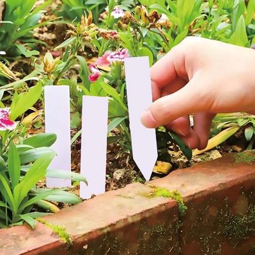 One Line Label, Succulent Plant, Plastic Waterproof Horticultural, T-Shaped Flower Label, 3.9 * 0.78inch, 200 Pcs