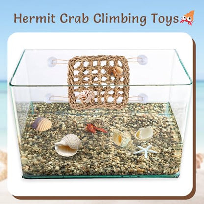 Hermit Crab Climbing Toys,Lizard Seagrass Mat,Hermit Crab Hammock with Suction Cups,Hermit Crab Supplies Decor Habitat,Small Reptile Tank Accessories for Guinea Pigs Hamsters Geckos (Square) - size: Square