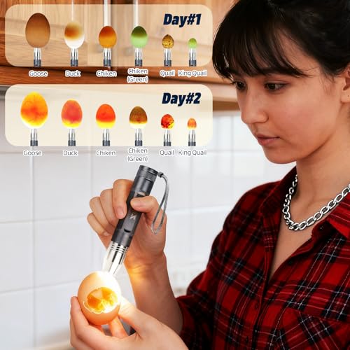Egg Candler Light Rechargeable USB Eggs Candling Tester | Candling light for chicken eggs, egg checker incubator 5 modes, USB charging, for chicken duck quail dark eggs. - color: Gray