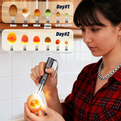 Egg Candler Light Rechargeable USB Eggs Candling Tester | Candling light for chicken eggs, egg checker incubator 5 modes, USB charging, for chicken duck quail dark eggs. - color: Gray