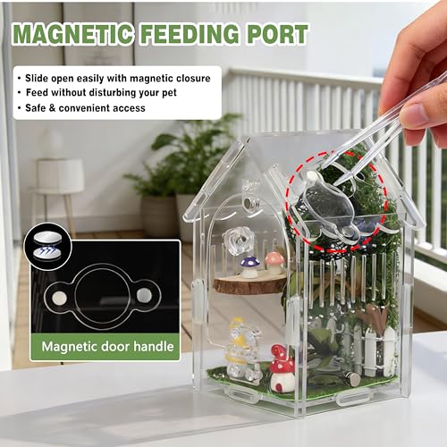 Acrylic Jumping Spider Enclosure with Magnetic Lock & Feeding Port | Scratch-resistant clear acrylic, 1mm vent, tool-free, magnetic door for arboreal tarantula & mantis
