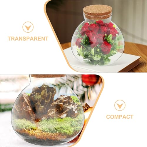 Glass Terrarium Jar with Cork Lid for Micro Landscape Plants, 13cm Round Ecosystem Bottle Suitable for Succulent, Moss, and Desk Display