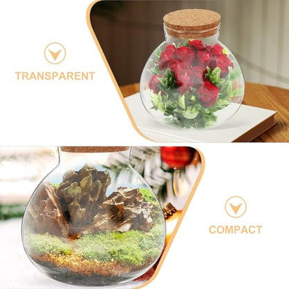 Glass Terrarium Jar with Cork Lid for Micro Landscape Plants, 13cm Round Ecosystem Bottle Suitable for Succulent, Moss, and Desk Display