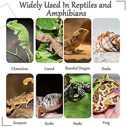 Hamiledyi Fake Reptile Plants for Terrarium Bendable Snake Climbing Vine | Artificial Leaves with Suction Cup, Hanging Reptile & Amphibian Habitat Decor for Bearded Dragon Gecko Tree Frog Chameleon - size: 3 PCS - Style 1
