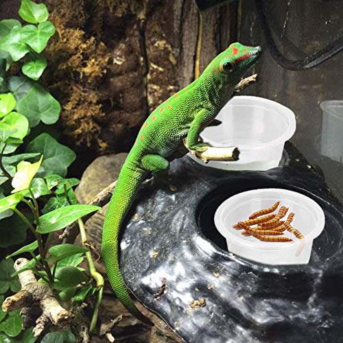 100Pcs Crested Gecko Food Dish, 0.5oz Plastic Reptile Feeding Cups - size: 100Pcs