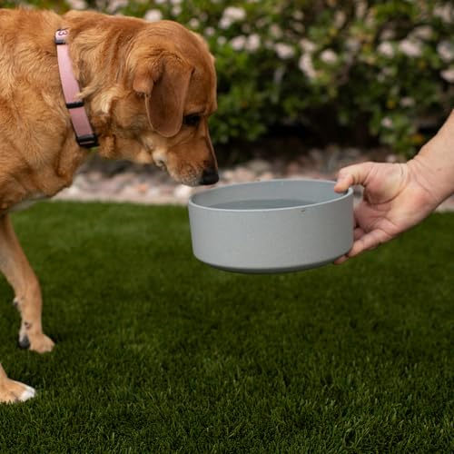 Loving Pets - Dolce Bamboo - Eco-Friendly Pet Bowls & Dishes for Dog, Cats, Puppy Food and Water Dish -Sustainable and Dishwasher Safe, Made with Real Bamboo (Small, Slate-Grey) - color: Slate Grey, size: Small Dish