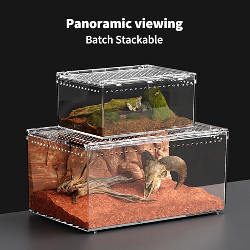Reptile PC Terrarium 8" x 6" x 4", Tarantula Enclosure,Spider Tank Starter Kit, Hermit Crab Habitat,Lizard Enclosure,Insect Housing,Jumping Spider Cage (Small) - size: 8" x 6" x 4"