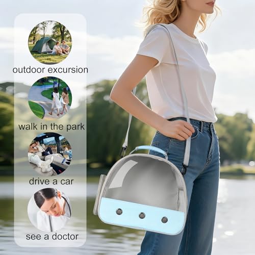 Bearded Dragon Travel Carrier,Lizards Cage, Small Animal Bag for Hedgehog Rat Parrot Bird Guinea Pig, Portable Guinea Pig Travel Carrier for 2 - color: Blue