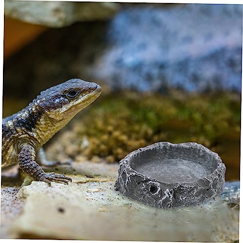 LIOOBO Tortoise Feeding Basin Reptile Water Bowl for Snake Lizard Turtle Pet Food Storage Basin Solid Material Easy Cleaning Reptile Accessories